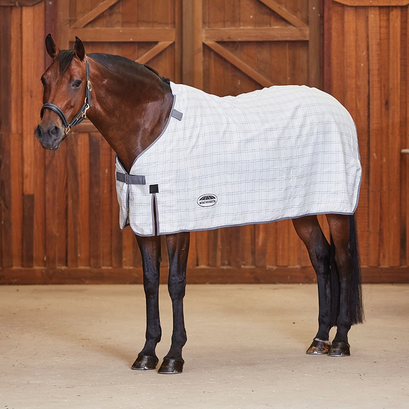 Cotton Sheet Liner