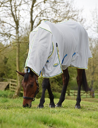 Fly Rug