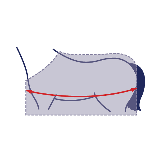 Measuring Your Horse For A Rug