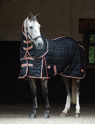 Stable Rug