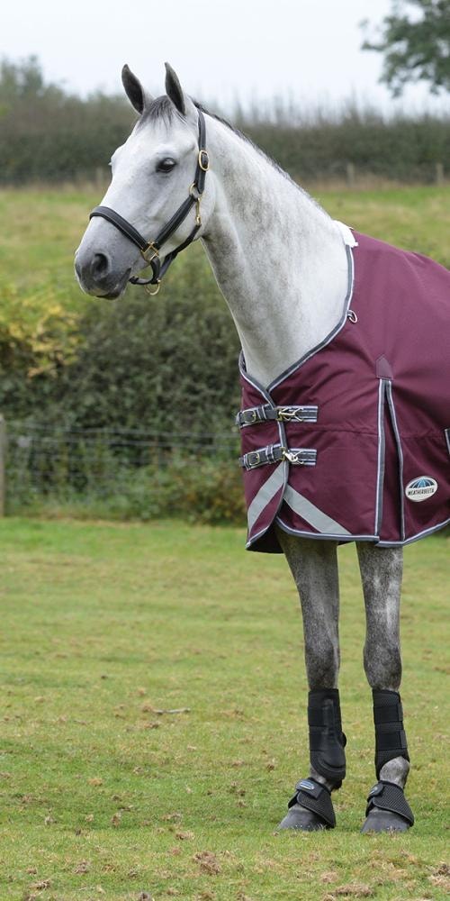 Standard Neck Rug