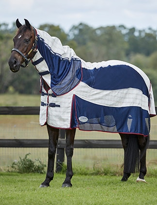 Summer Sheet