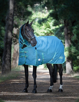 Turnout Rug