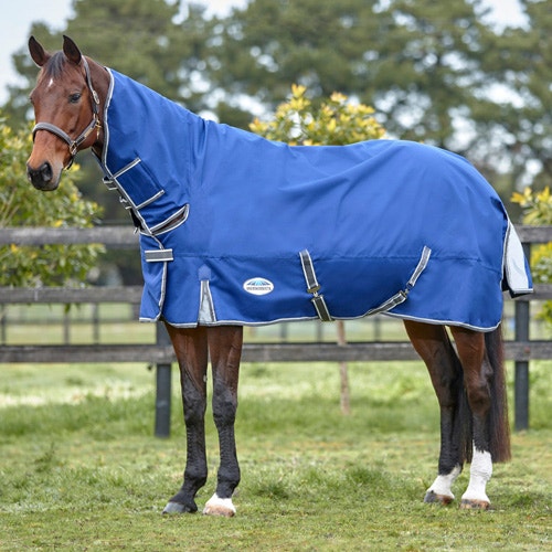 Why Rug Your Horse