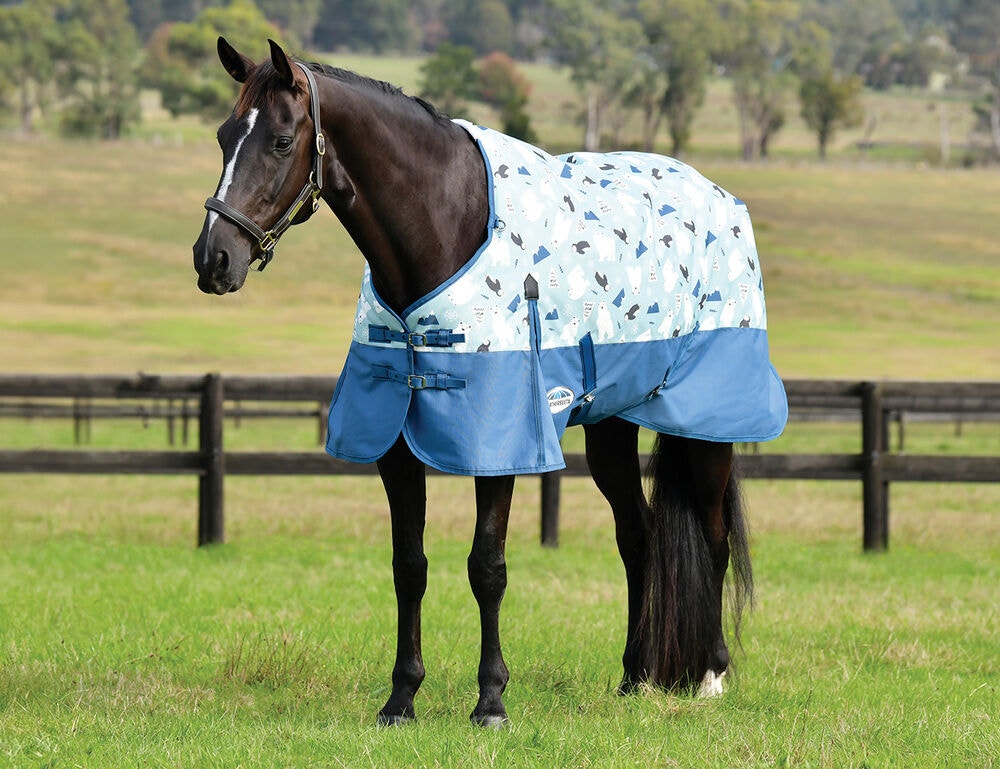  ComFiTec Essential Standard Neck Medium