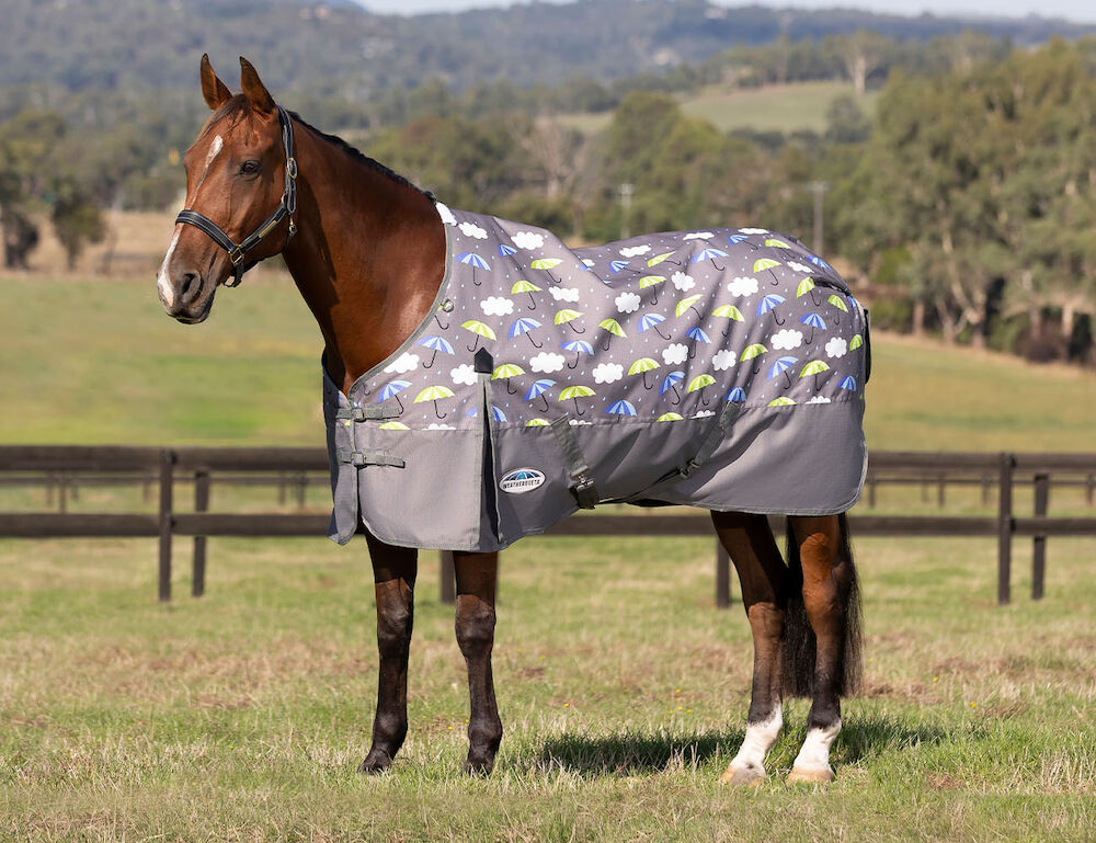  ComFiTec Essential Standard Neck Lite