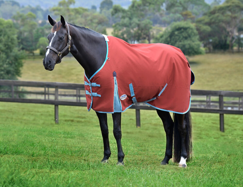  ComFiTec Essential Standard Neck Lite Plus