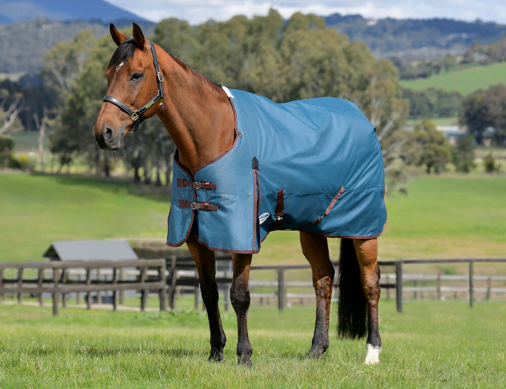  ComFiTec Classic Standard Neck Medium