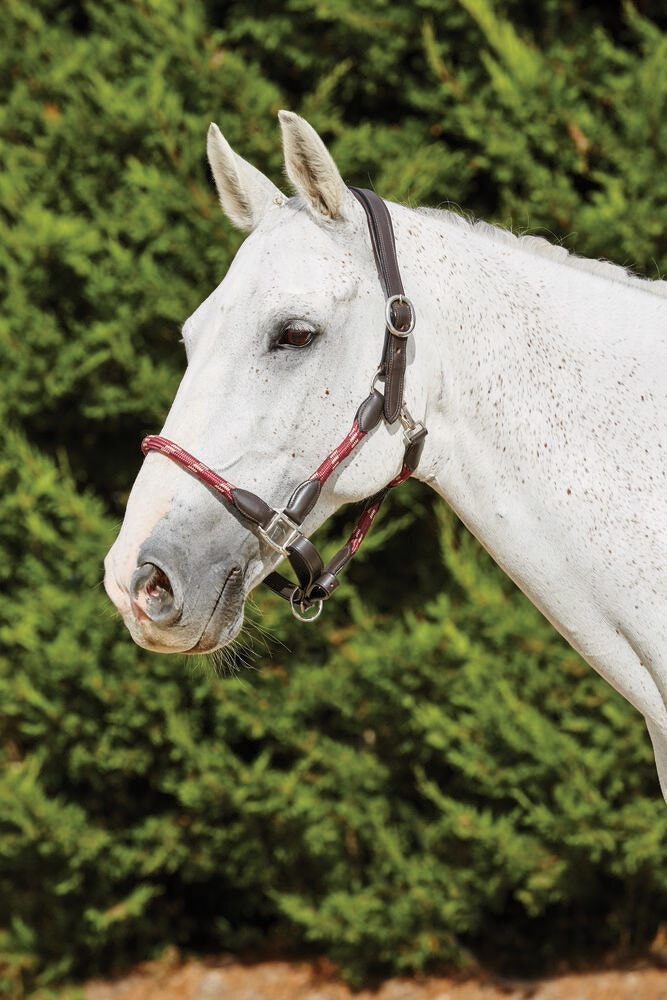  Leather Rope Headcollar