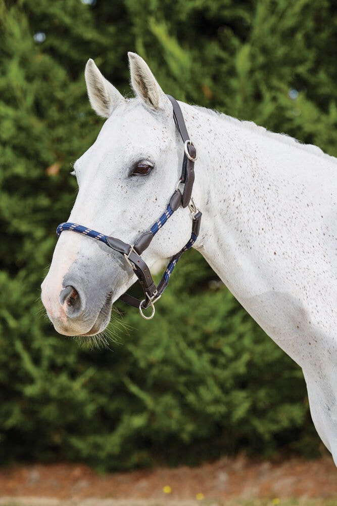  Leather Rope Headcollar