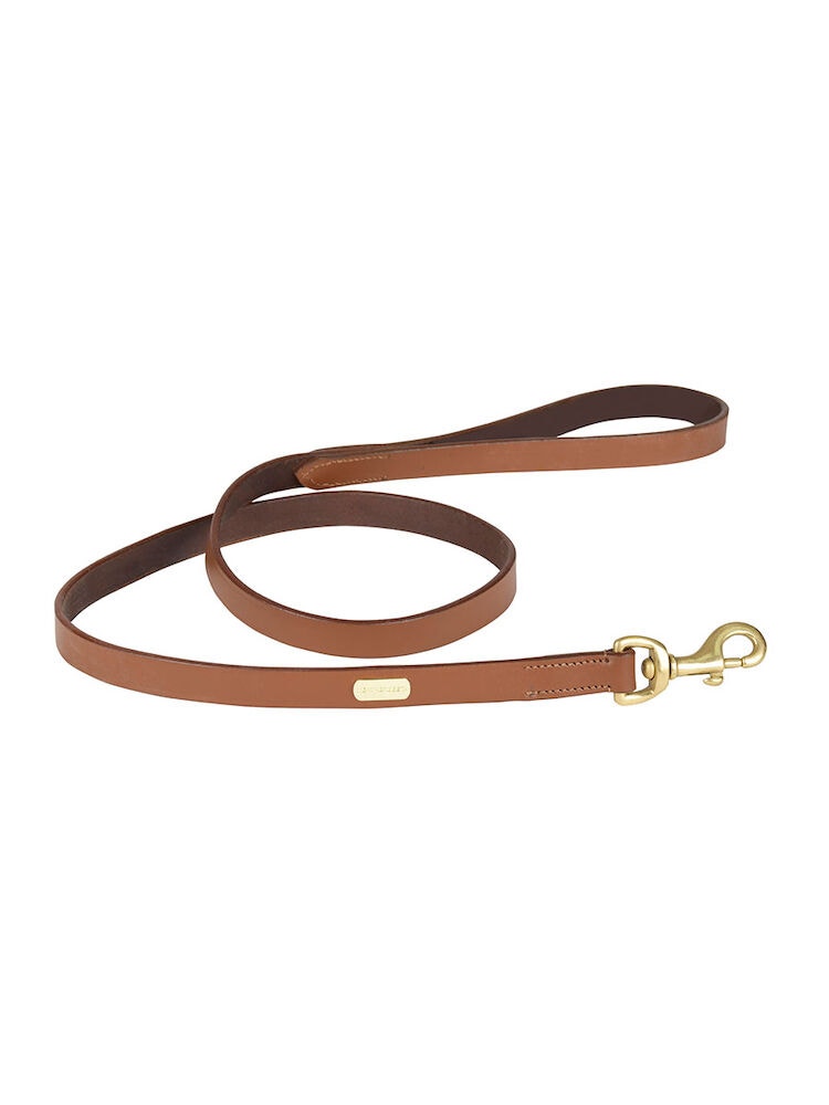  Leather Dog Lead