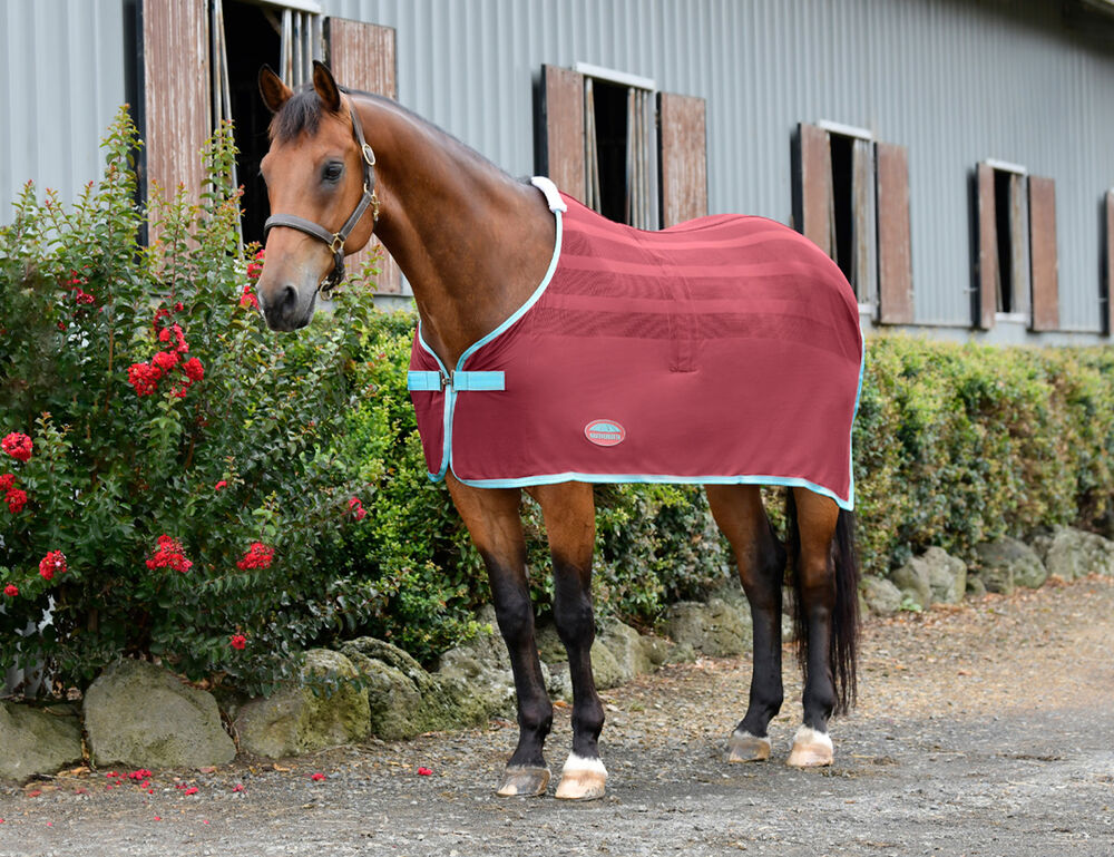  Scrim Cooler Standard Neck