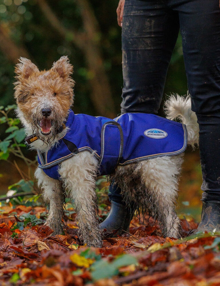  ComFiTec Premier Free Parka Deluxe Dog Coat Medium