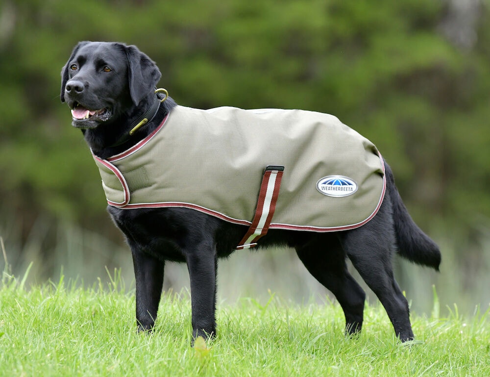  ComFiTec Premier Free Parka Dog Coat Medium