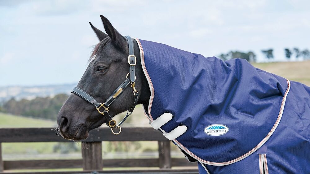  ComFiTec Essential Neck Rug Lite
