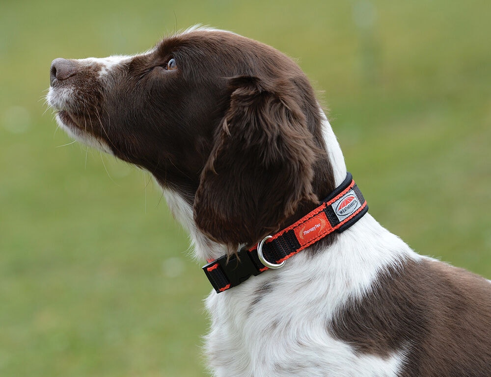  Therapy-Tec Dog Collar