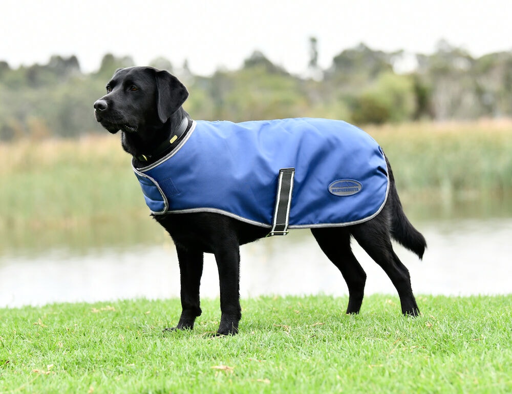  ComFiTec Windbreaker Free Dog Coat
