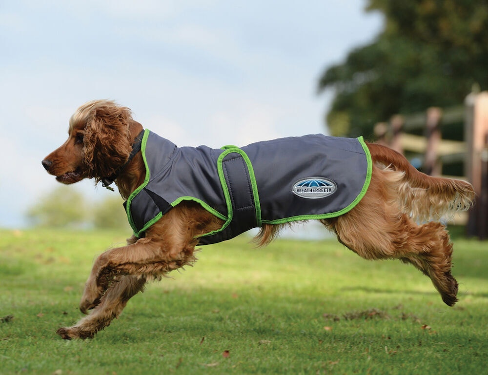  ComFiTec Windbreaker Free Deluxe Dog Coat