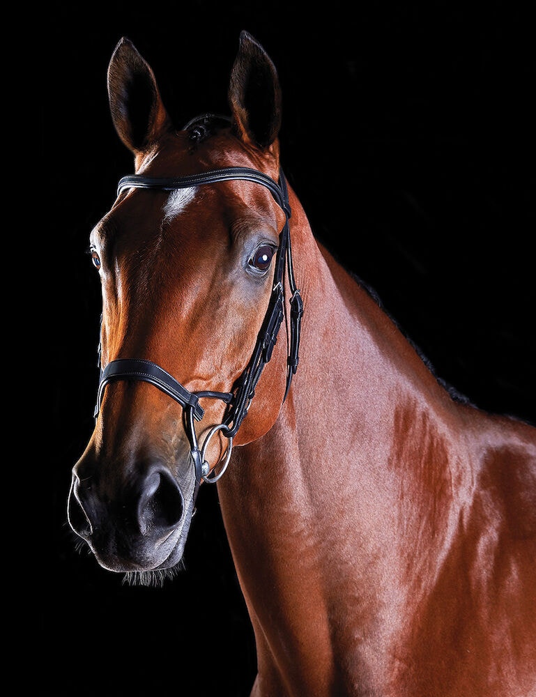  ComFiTec Training Bridle
