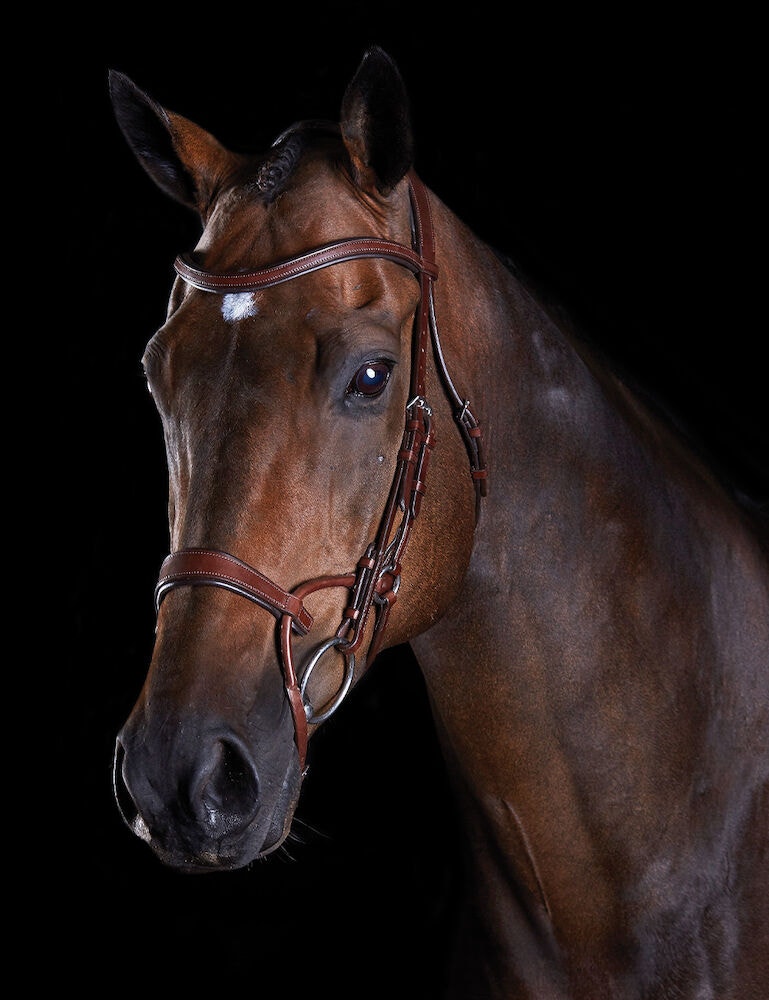  ComFiTec Training Bridle