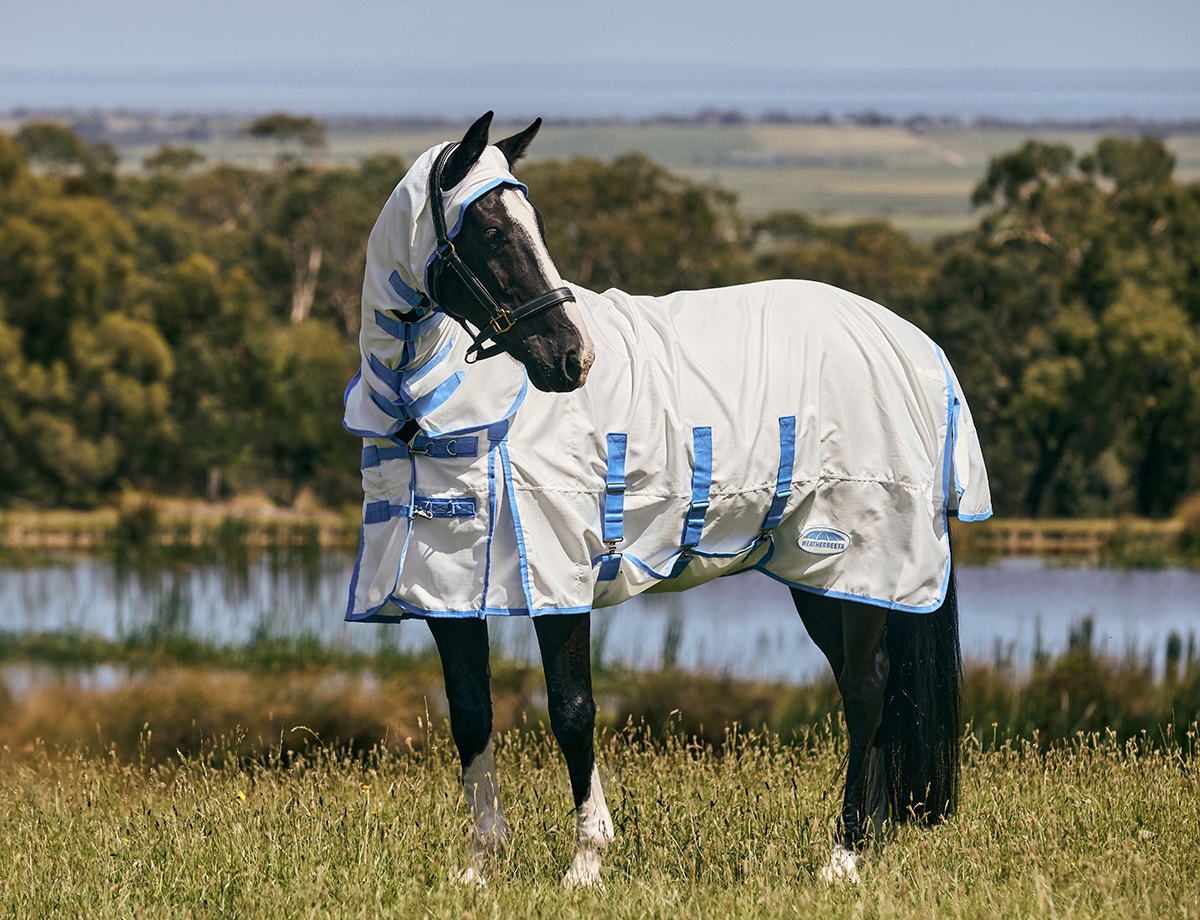 ComFiTec Sweet Itch Shield Combo Neck