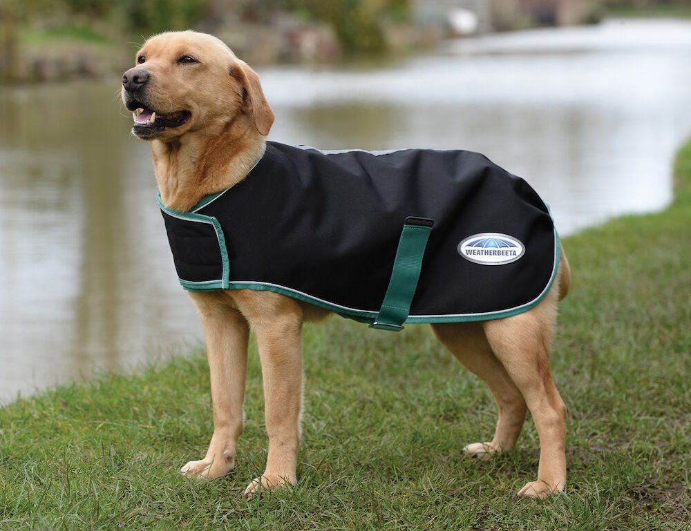  Green-Tec 900D Dog Coat Lite Plus