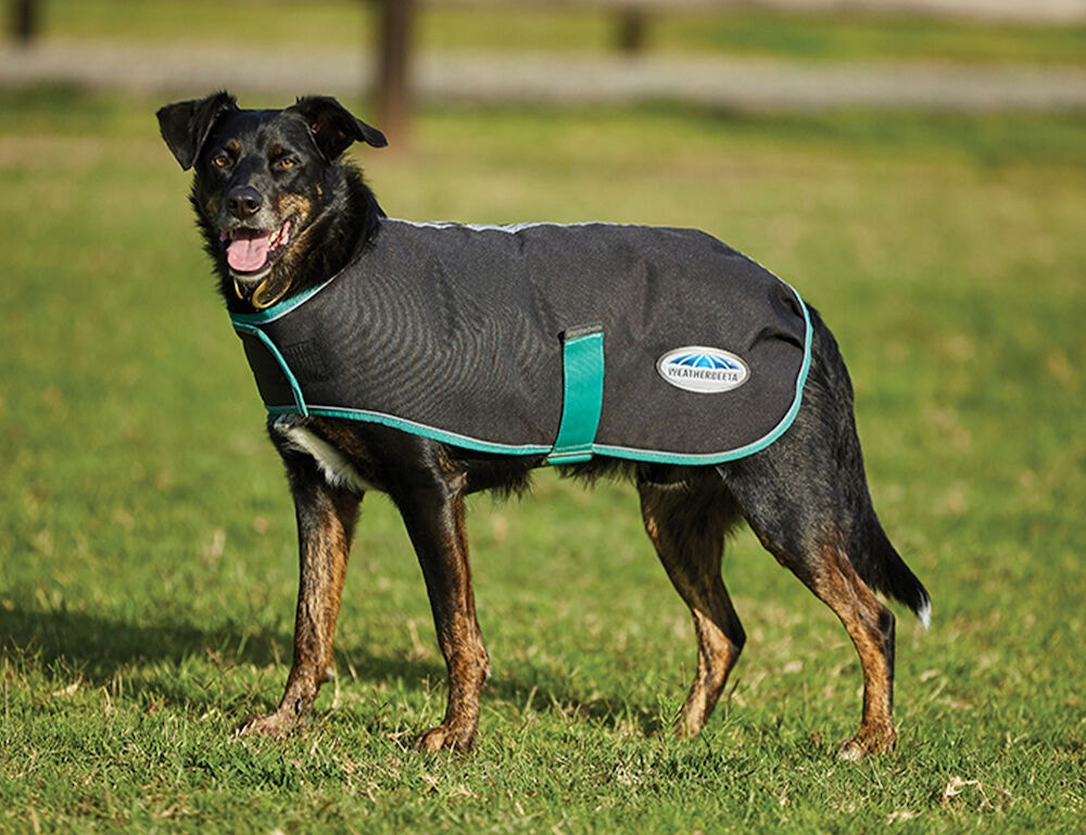  Green-Tec 900D Dog Coat Medium