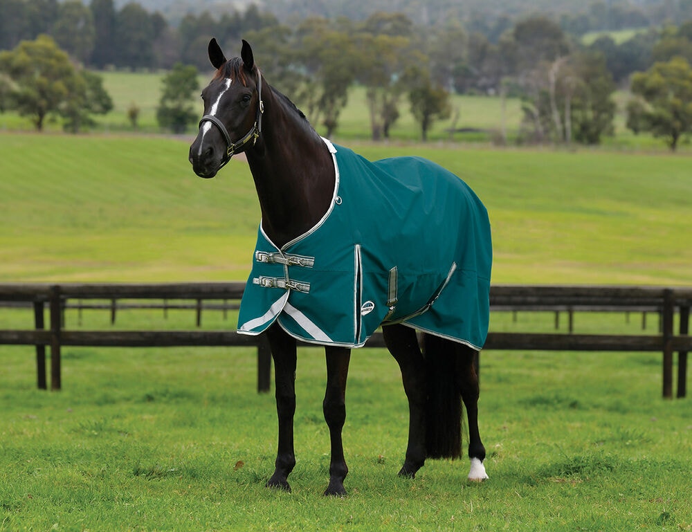  ComFiTec Plus Dynamic II Standard Neck Lite