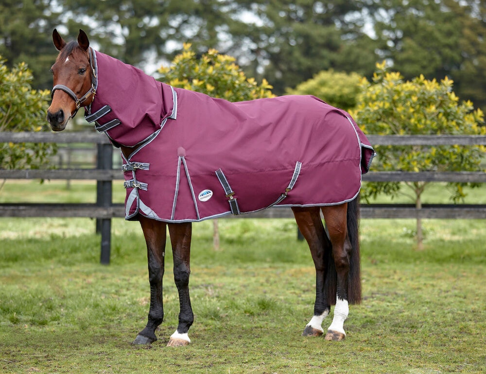  ComFiTec Plus Dynamic II Detach-A-Neck Lite