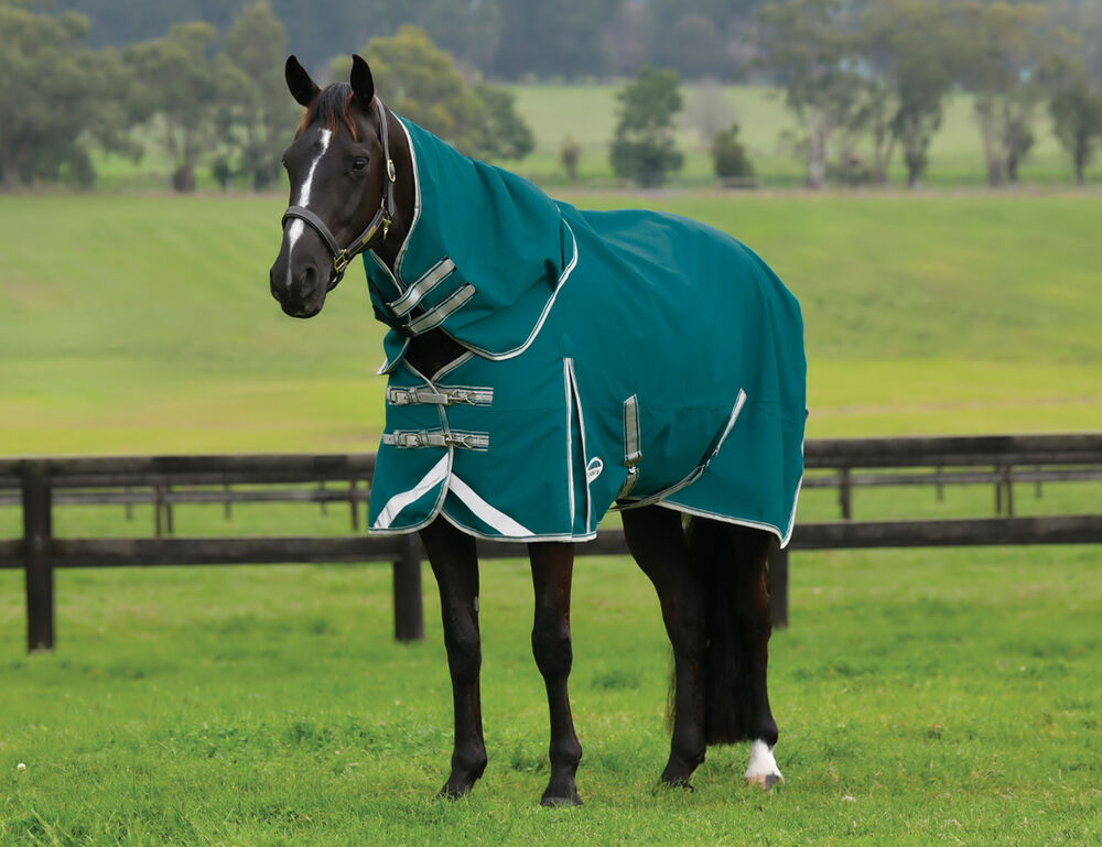  ComFiTec Plus Dynamic II Detach-A-Neck Lite