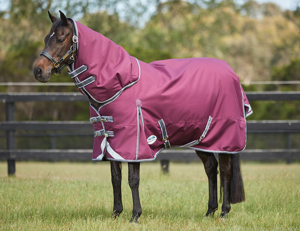  ComFiTec Plus Dynamic II Detach-A-Neck Medium
