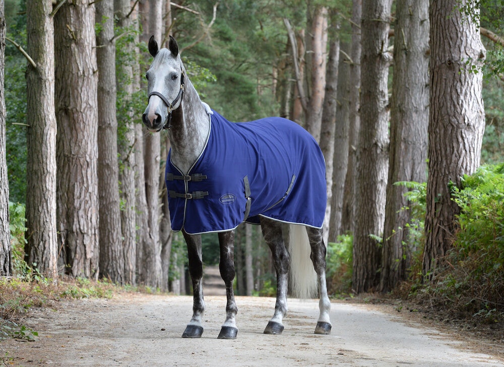  Cotton Show Sheet With Surcingles II Standard Neck