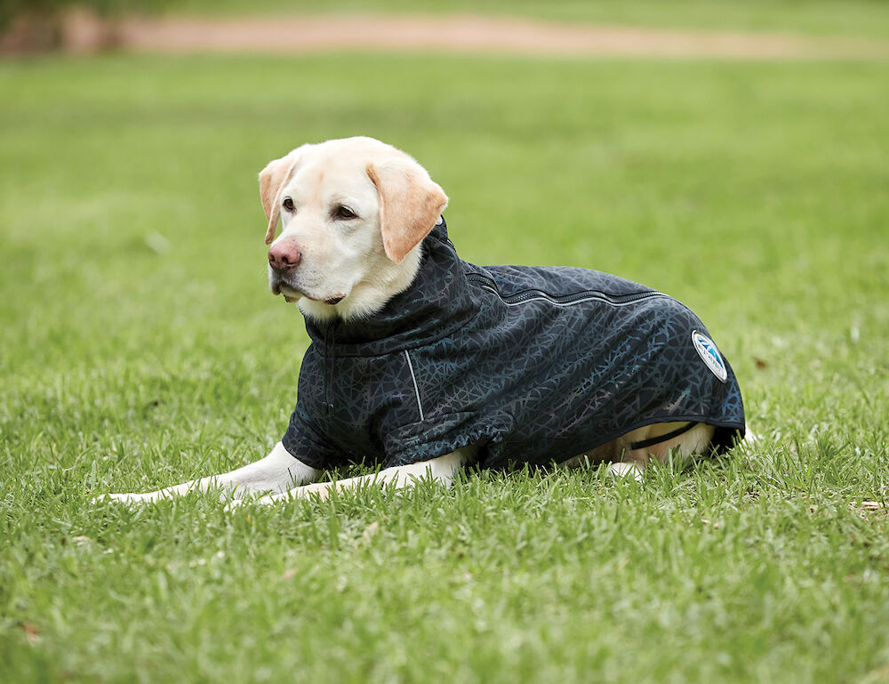ComFiTec Reflective Print Active Dog Coat WeatherBeeta