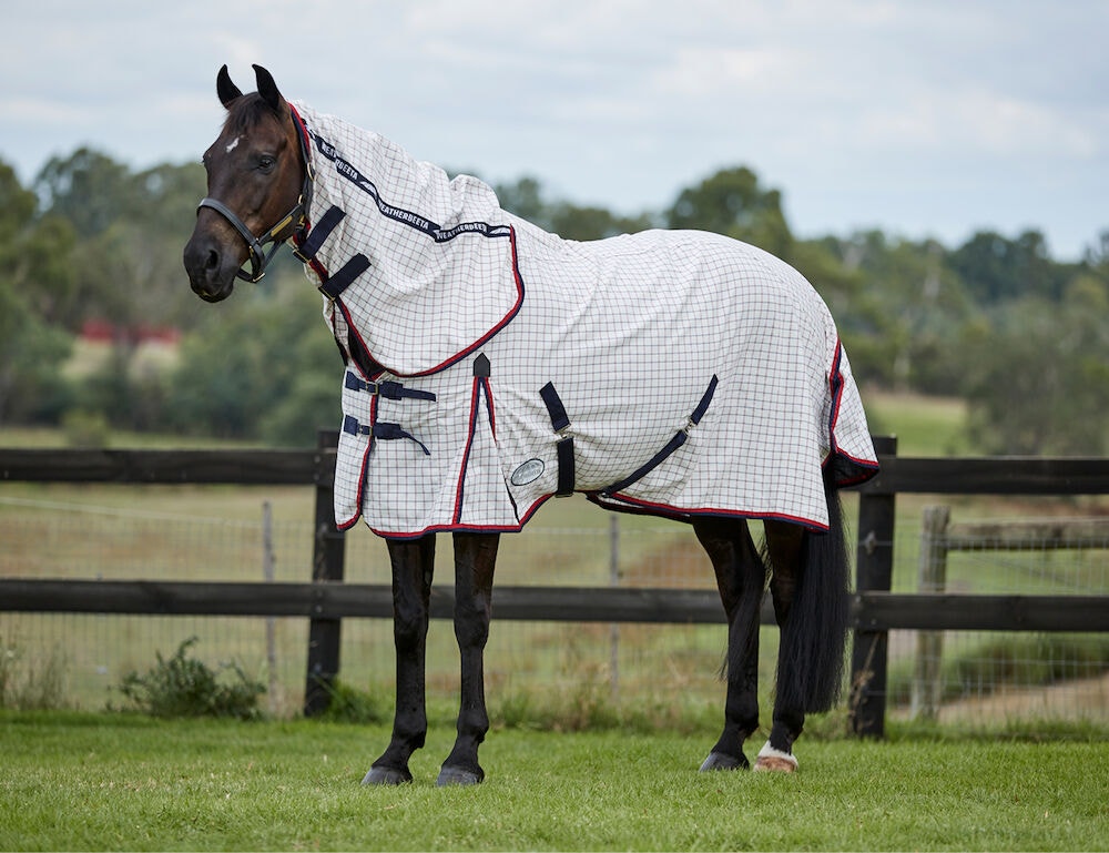  Summer Sheet Lite IV Combo Neck