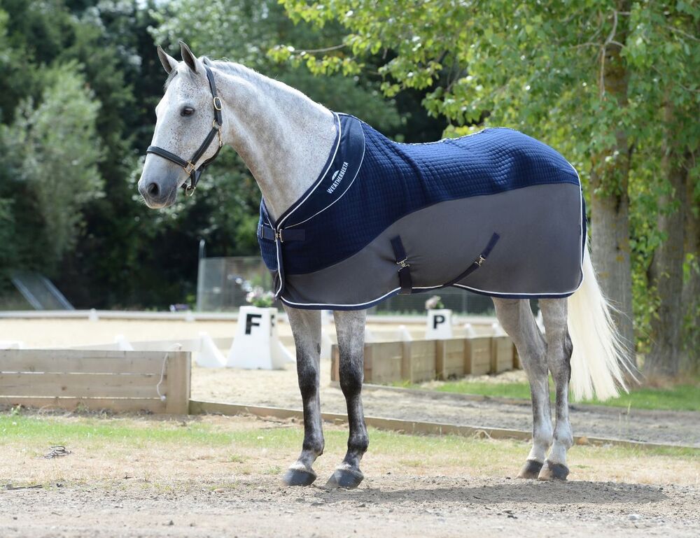 Thermo-Air Cooler Standard Neck