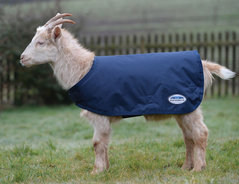  Goat Coat