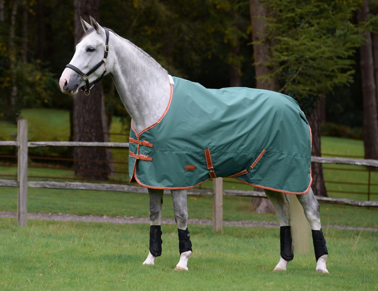  ComFiTec Tyro Standard Neck Medium
