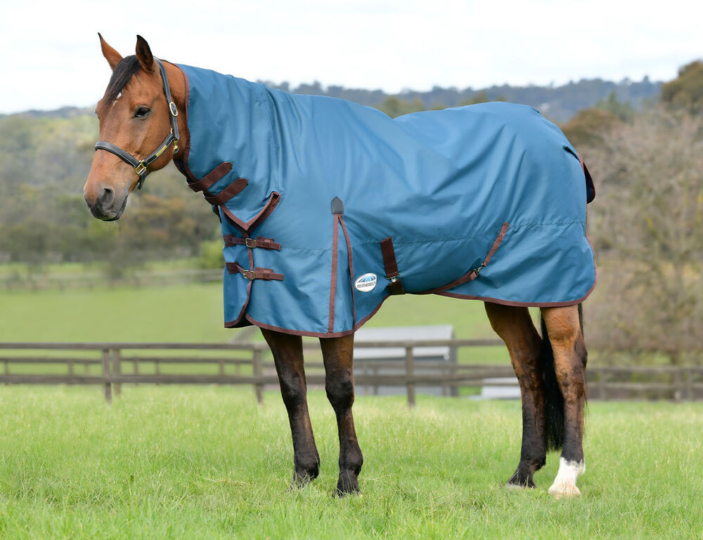  ComFiTec Classic Combo Neck Lite Plus