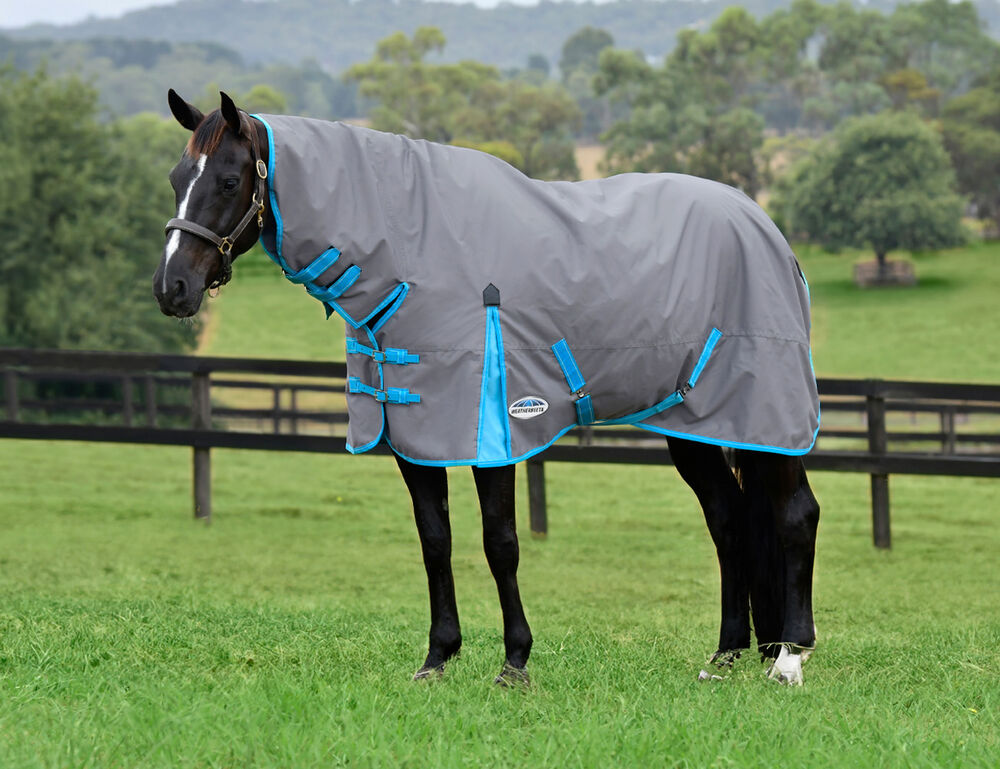  ComFiTec Classic Combo Neck Lite Plus