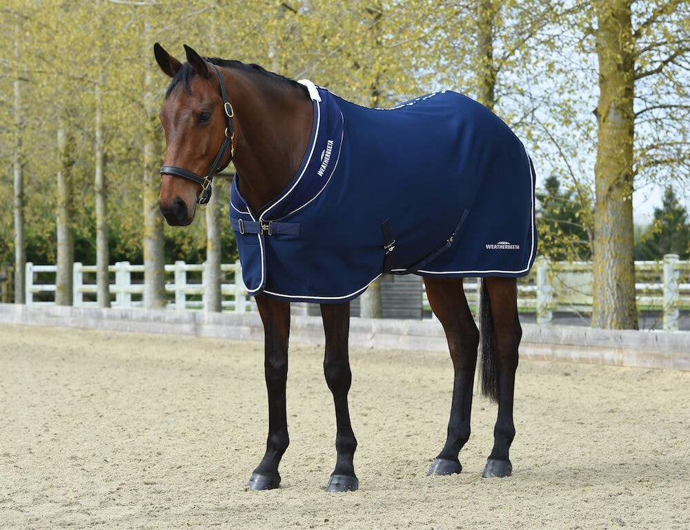  Opulence Show Sheet Standard Neck