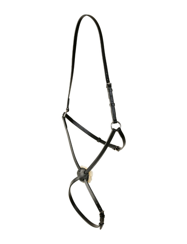  Classic Plain Raised Grackle Noseband