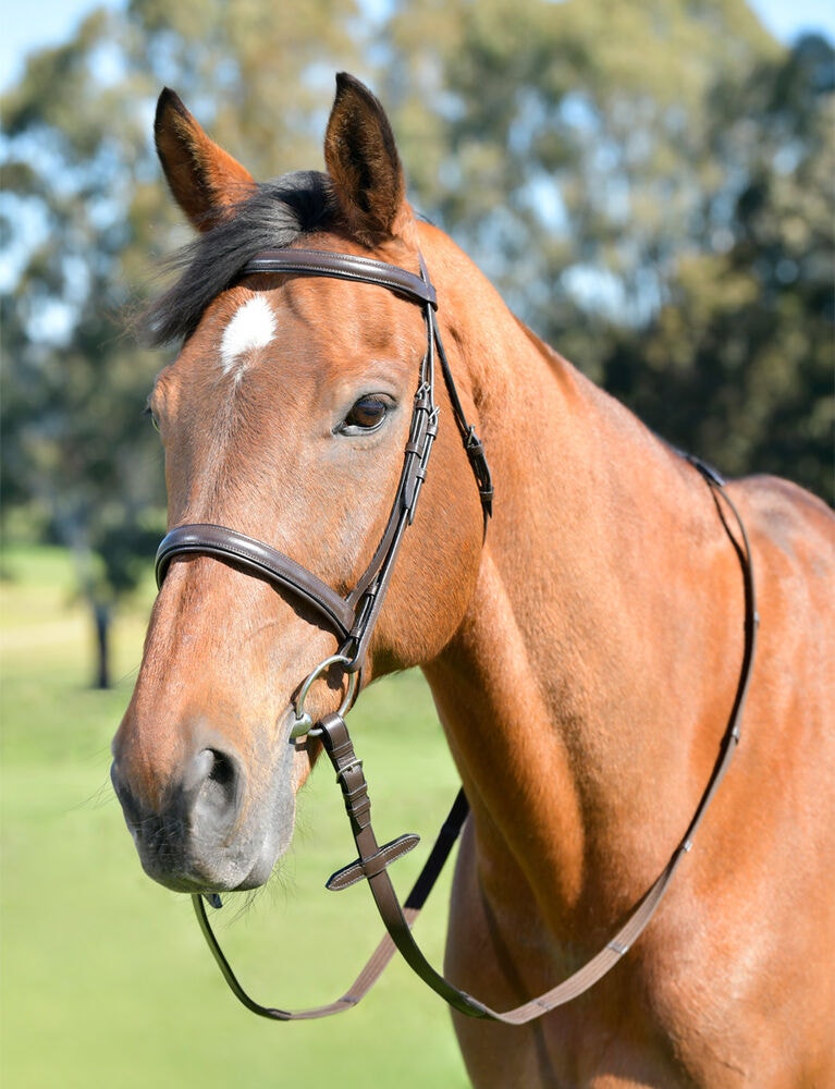  Classic Plain Raised Cavesson Bridle With Reins