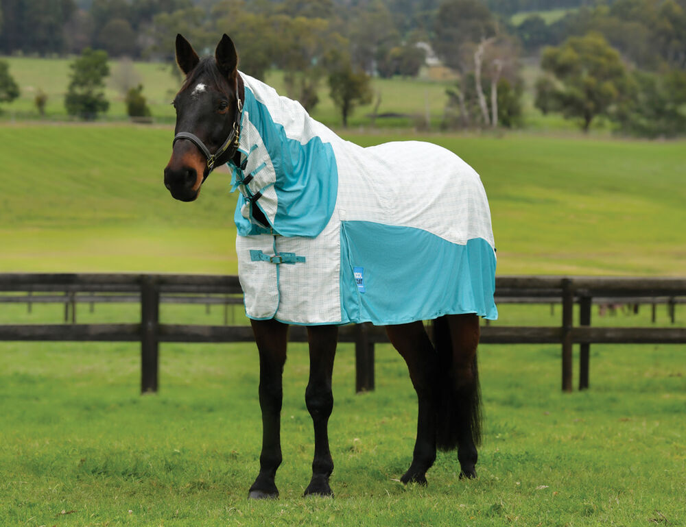  Cotton Airstream II Detach-A-Neck