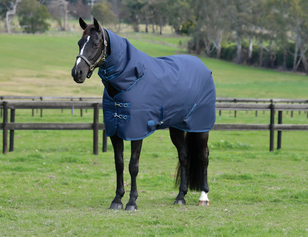  ComFiTec Basi Detach-A-Neck Medium