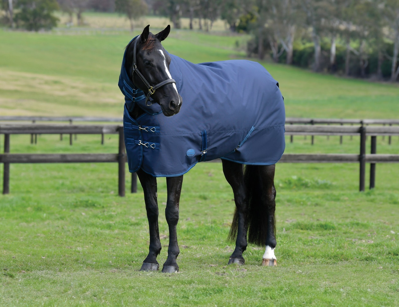  ComFiTec Basi Detach-A-Neck Lite