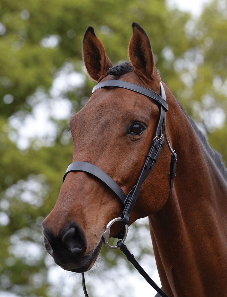  Hunt Cavesson Bridle II