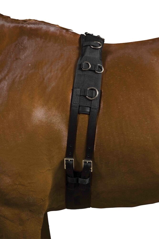  Deluxe Equigrip Lunge Roller