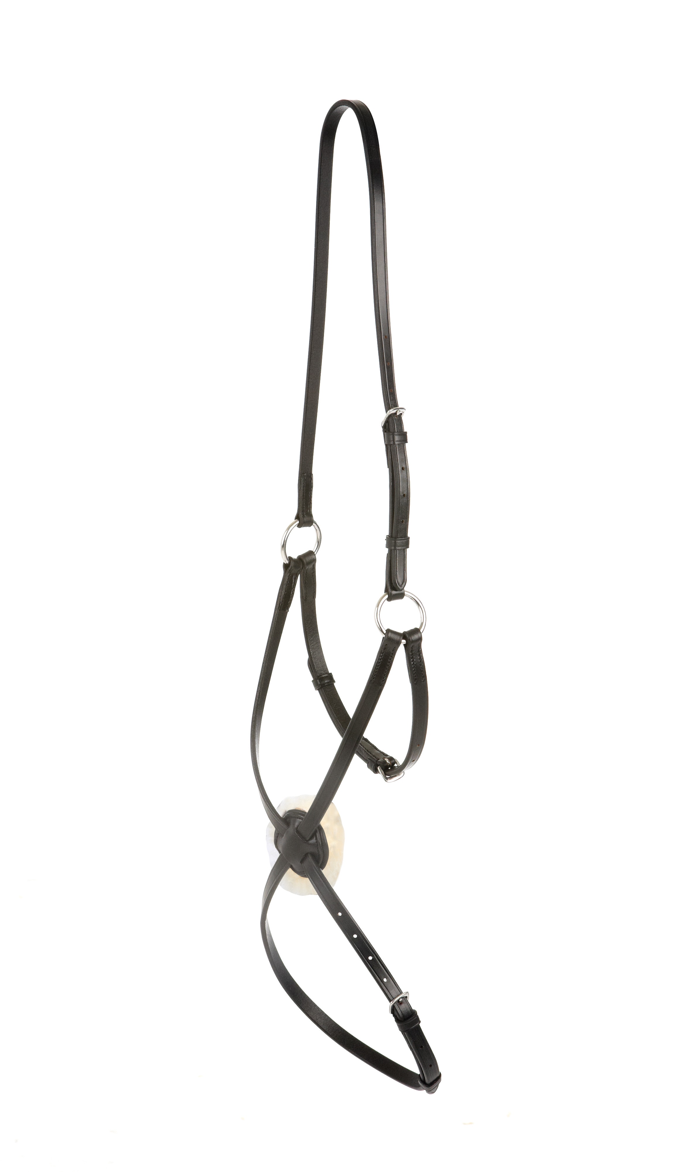  Grackle Noseband IV