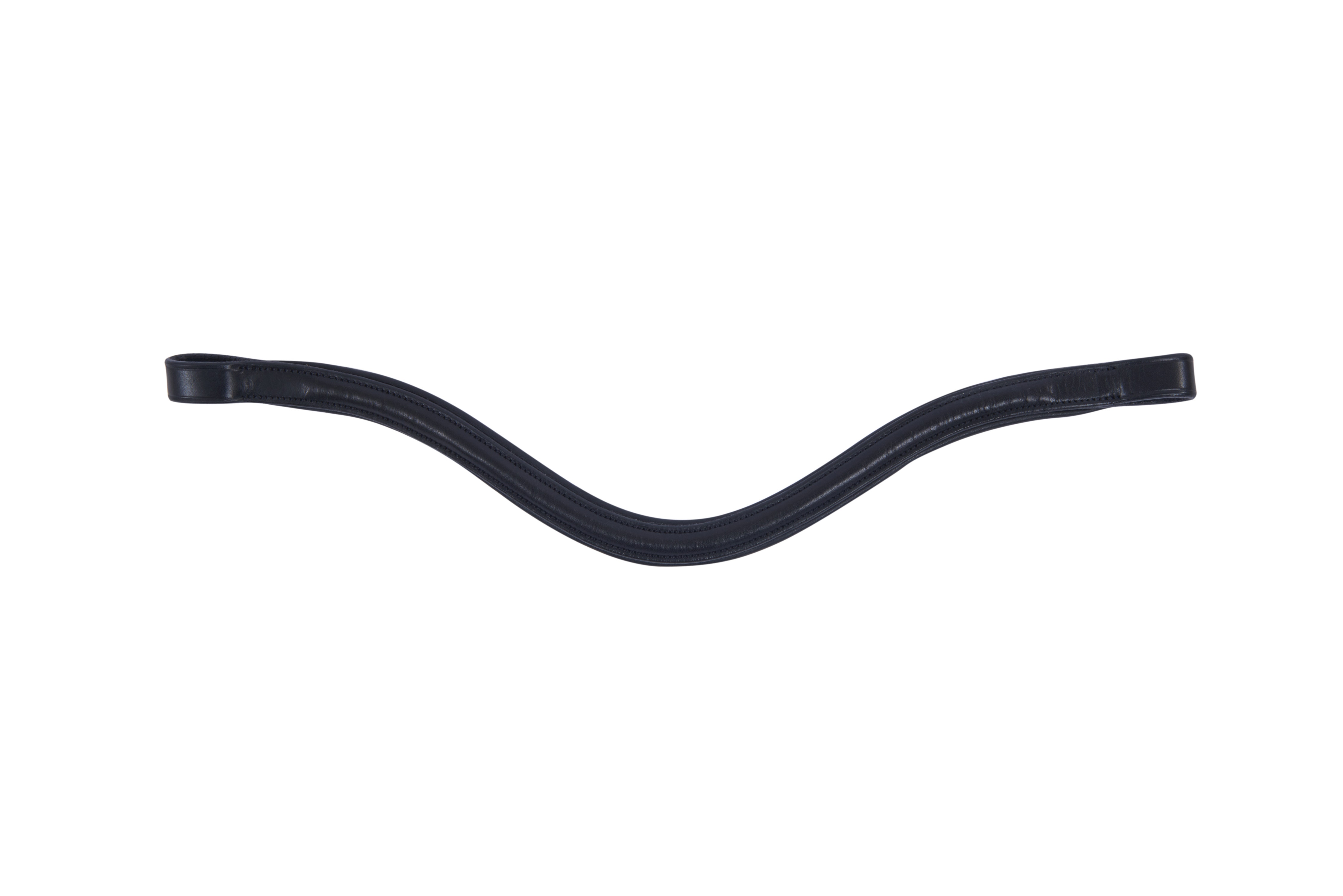  Curved Raised Browband IV
