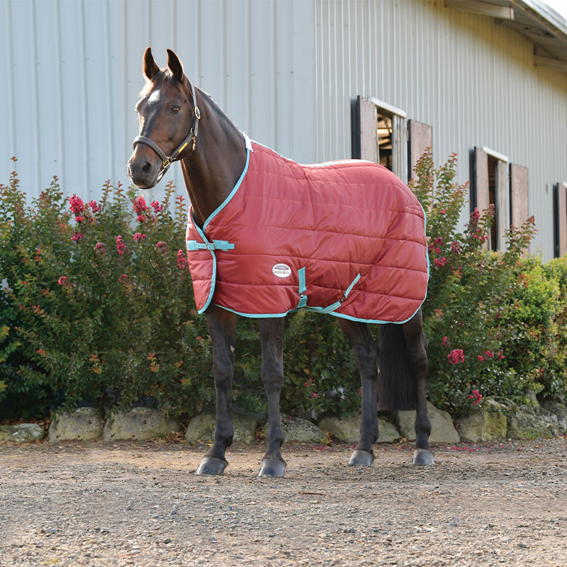 bay horse outside wearing ComFiTec 210D Channel Quilt Standard Neck Medium/Lite